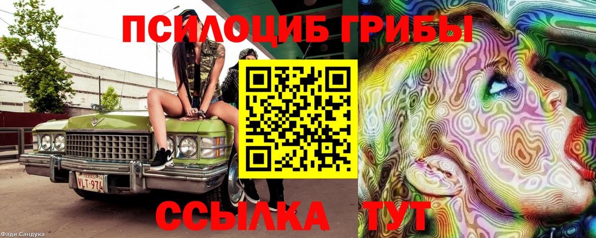 Псилоцибиновые грибы Cubensis Ржев