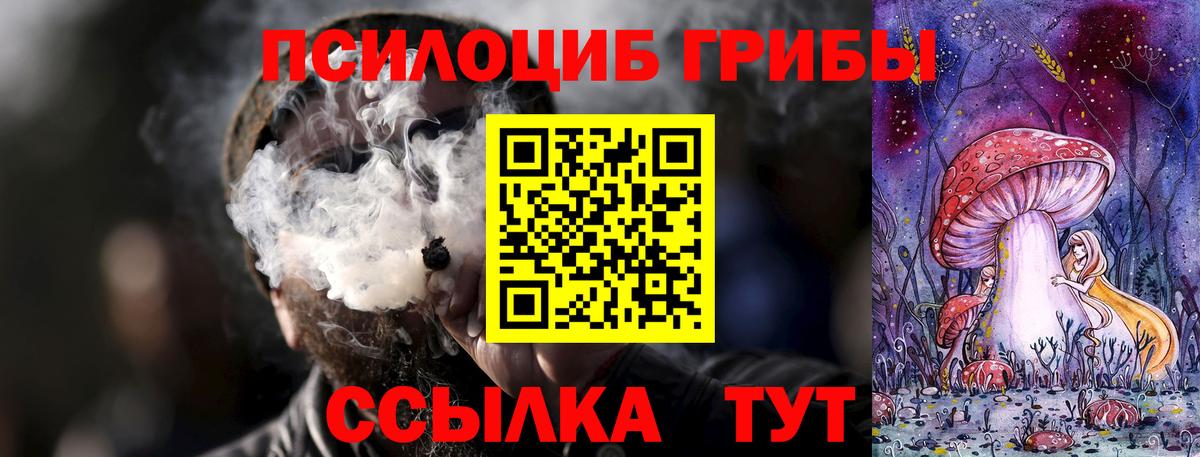 Галлюциногенные грибы MAGIC MUSHROOMS  Вход с VPN  Галлюциногенные грибы MAGIC MUSHROOMS  Ржев 